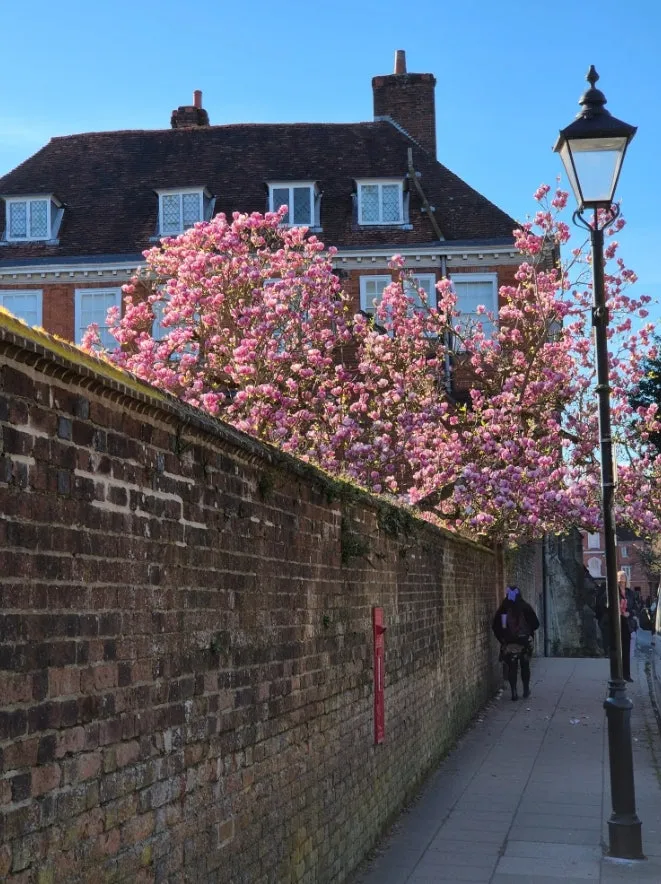 20260324_141742.jpg?type=w1600