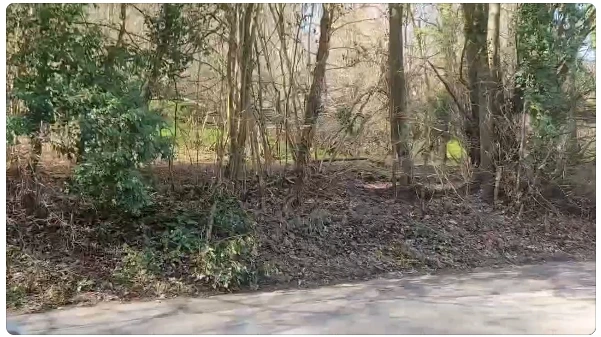 SE-69347328-af33-415f-82ae-a3650c179974.jpg?type=w773