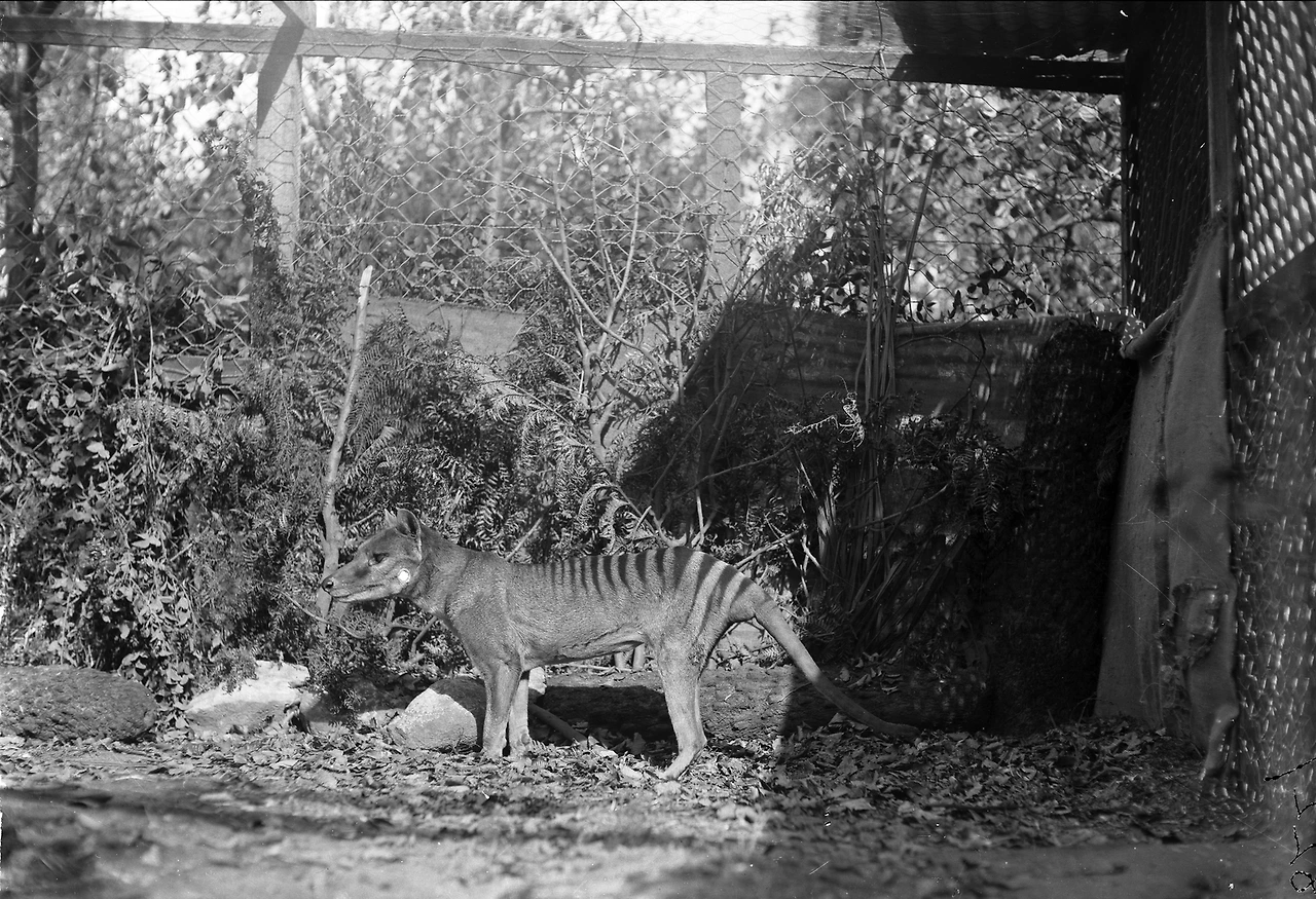 img.png?credential=yqXZFxpELC7KVnFOS48ylbz2pIh7yKj8&expires=1769871599&allow_ip=&allow_referer=&signature=CuTzWSbvagyUxvrYgeXsgiRqwXI%3D