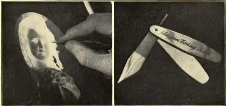 img.jpg?credential=yqXZFxpELC7KVnFOS48ylbz2pIh7yKj8&expires=1769871599&allow_ip=&allow_referer=&signature=NO6CsbFGW4JVngzPGwrClEAcIAA%3D