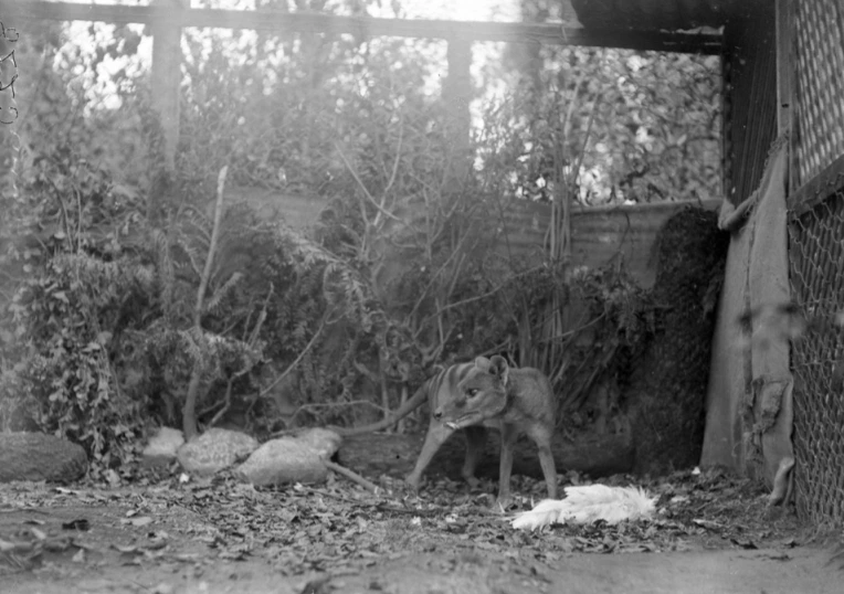 img.jpg?credential=yqXZFxpELC7KVnFOS48ylbz2pIh7yKj8&expires=1769871599&allow_ip=&allow_referer=&signature=rPK8yWQ58yOwUEh4wLeabwMmhDI%3D