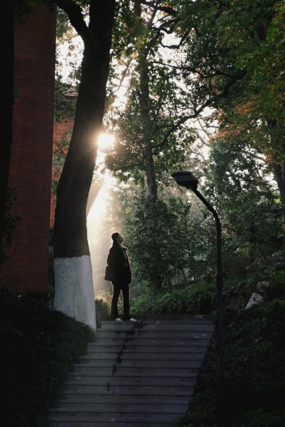 SE-0fe148dc-f514-40a4-97f5-c9fe0cba3db2.jpg?type=w1