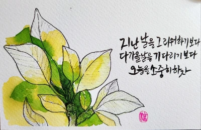KakaoTalk_20250305_114007712_02.jpg?type=w1