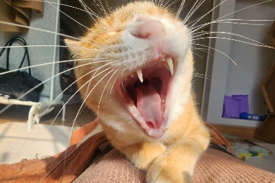 KakaoTalk_Photo_2026-03-05-11-25-33 008.jpeg