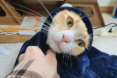 KakaoTalk_Photo_2026-03-05-11-25-32 003.jpeg