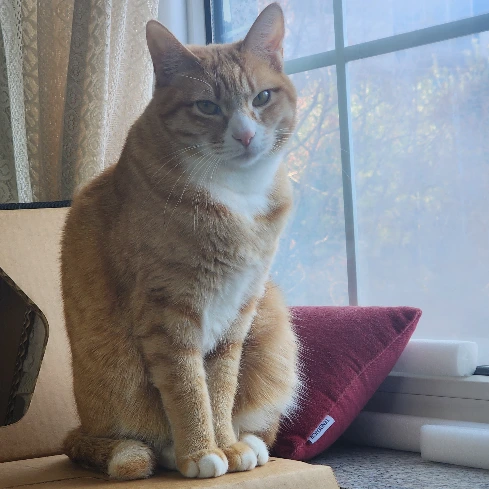 KakaoTalk_Photo_2026-03-05-11-25-33 007.jpeg