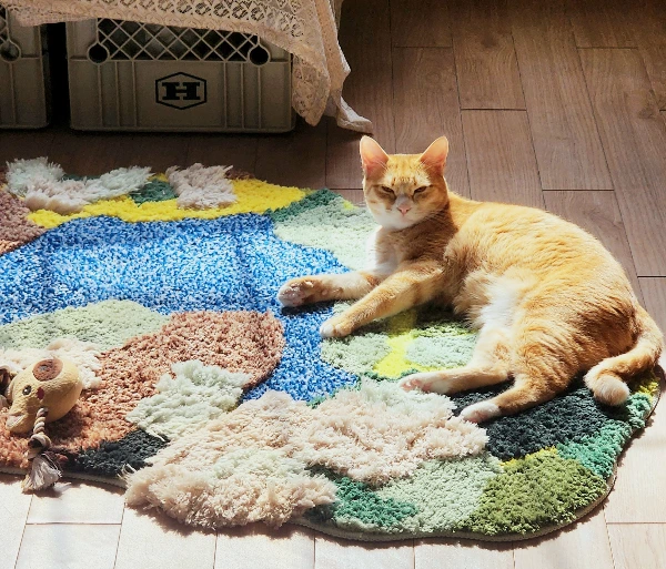 KakaoTalk_Photo_2026-03-05-11-25-33 009.jpeg