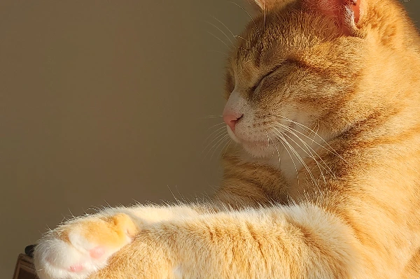 KakaoTalk_Photo_2026-03-05-11-25-22 001.jpeg