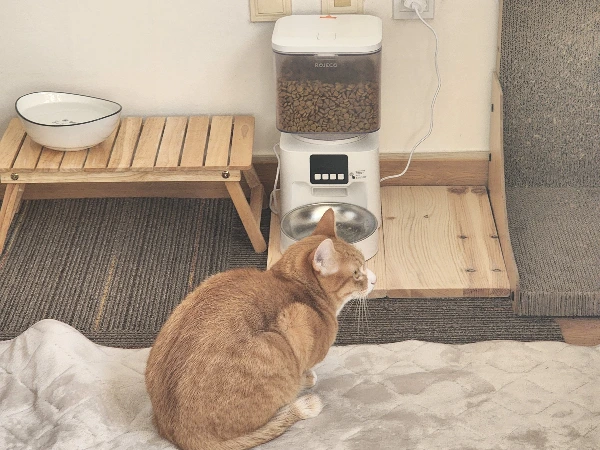 KakaoTalk_Photo_2026-03-05-11-25-32 005.jpeg