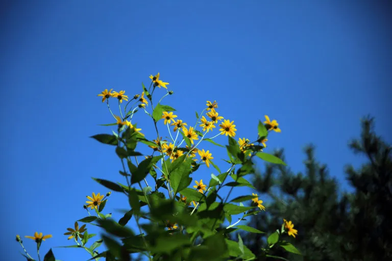 다운로드 (39).jfif