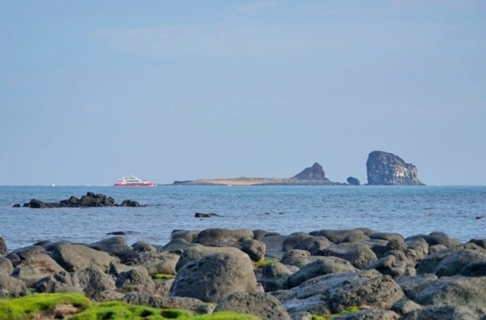 다운로드 (26).jfif