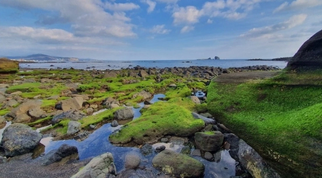 다운로드 (24).jfif