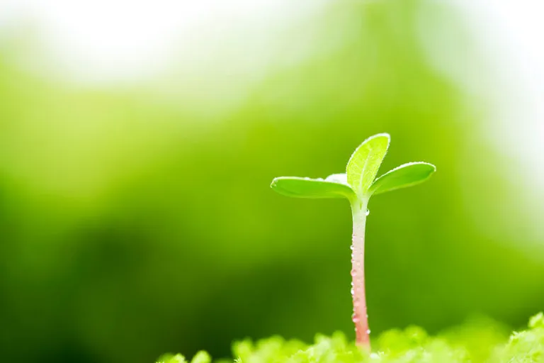 다운로드 (12).jfif