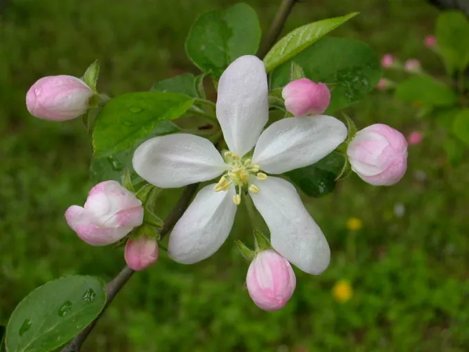 다운로드 (31).jfif