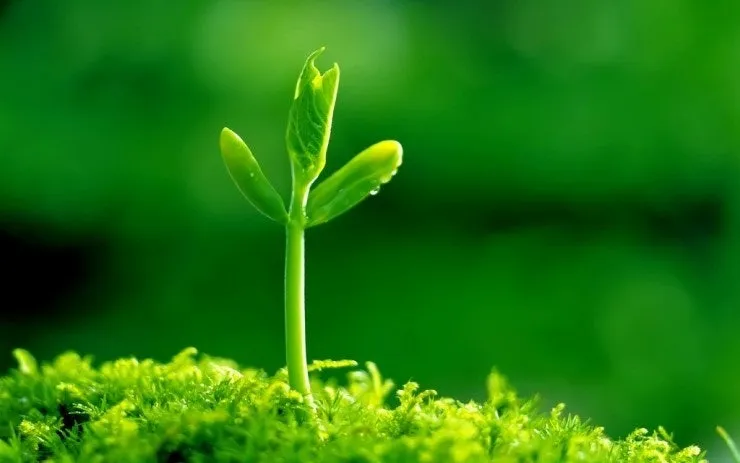 다운로드 (19).jfif