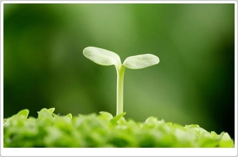 다운로드 (20).jfif