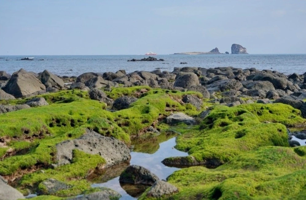 다운로드 (27).jfif