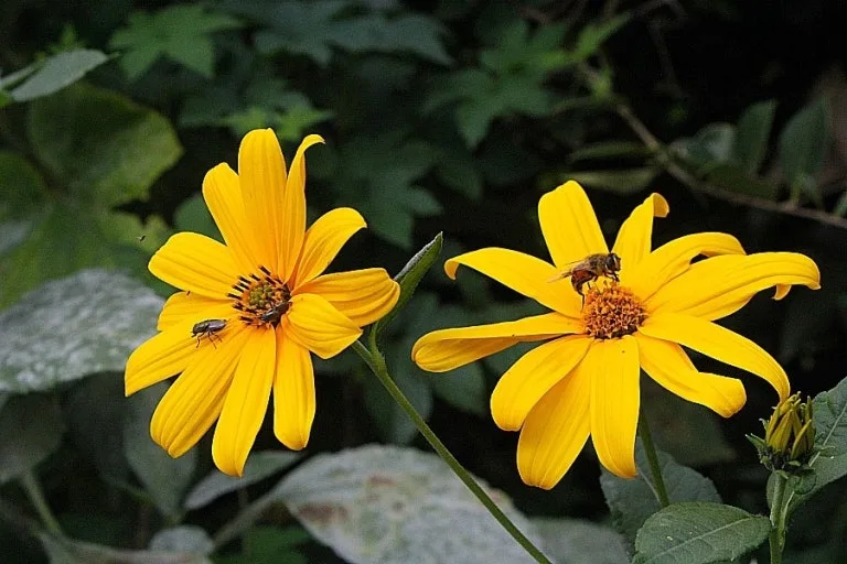 다운로드 (38).jfif