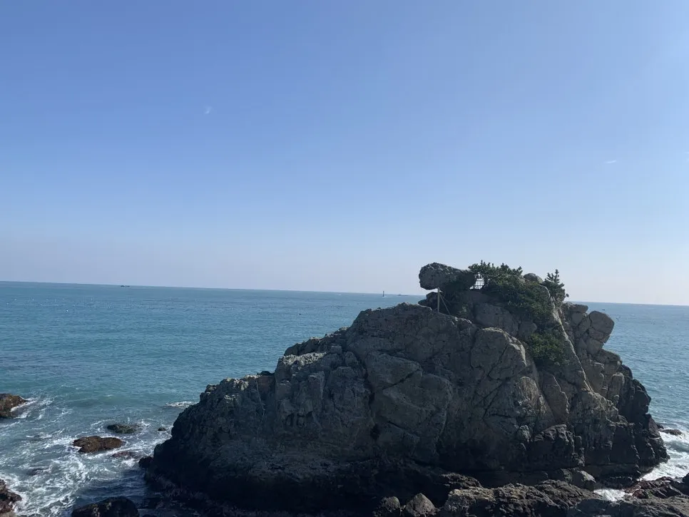 %EC%82%AC%EC%A7%84-20200306_548.JPG?type=w966