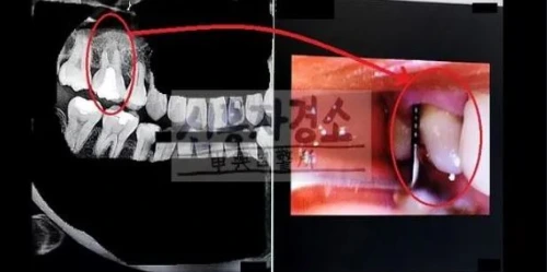 대문용 로고.JPG