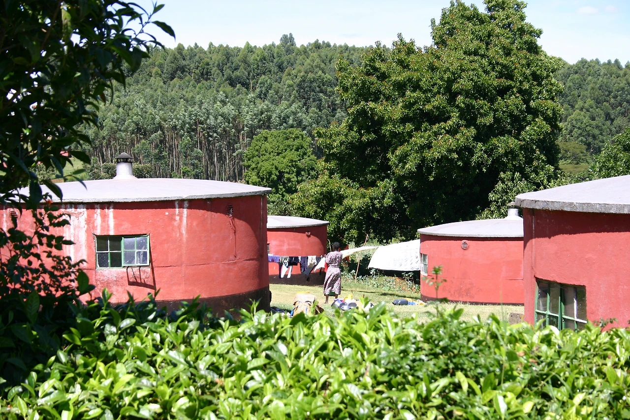 Kericho02.JPG