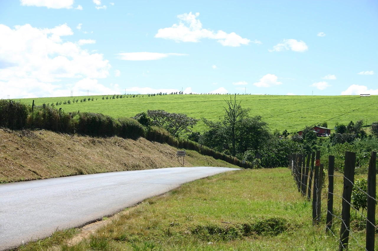 Kericho04.JPG