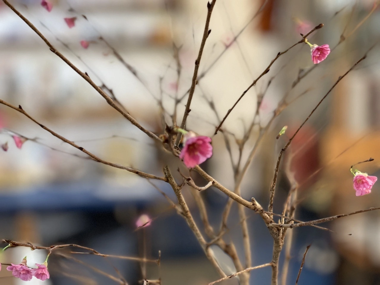 e5d7b001f0ac2866db182ec89063b25dc78d32c2