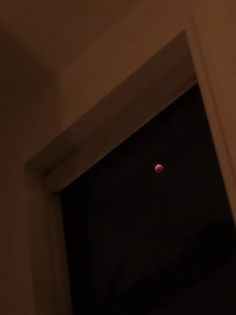 900%EF%BC%BF20260304%EF%BC%BF004413.jpg?type=w773