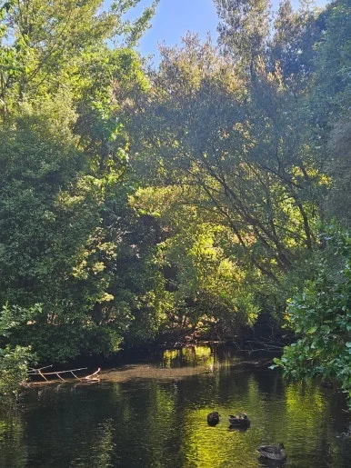 900%EF%BC%BF20260314%EF%BC%BF110003.jpg?type=w386