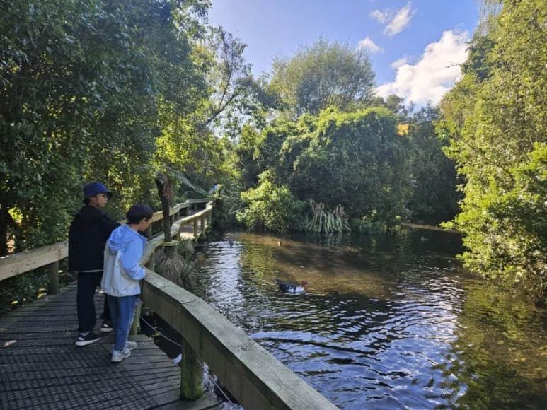 900%EF%BC%BF20260314%EF%BC%BF105214.jpg?type=w773