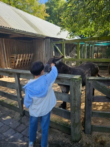 900%EF%BC%BF20260314%EF%BC%BF112639.jpg?type=w386