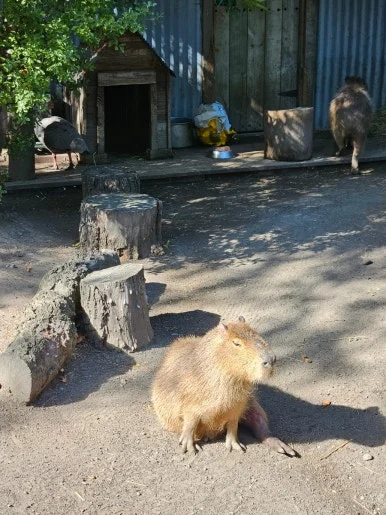 900%EF%BC%BF20260314%EF%BC%BF111253.jpg?type=w386