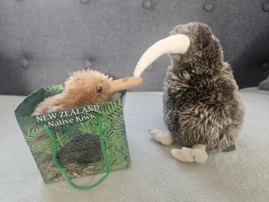 900%EF%BC%BF20260316%EF%BC%BF122007.jpg?type=w386