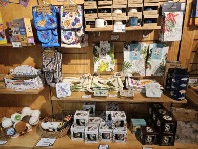 900%EF%BC%BF20260314%EF%BC%BF133913.jpg?type=w386