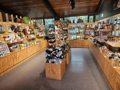 900%EF%BC%BF20260314%EF%BC%BF133905.jpg?type=w386