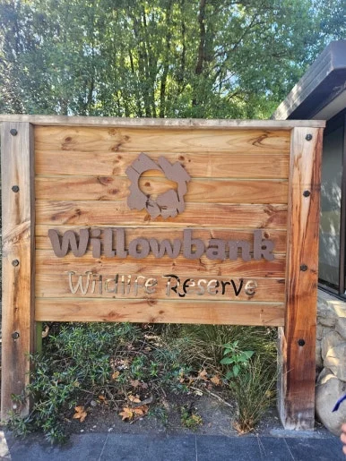 900%EF%BC%BF20260314%EF%BC%BF104600.jpg?type=w386