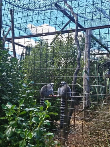 900%EF%BC%BF20260314%EF%BC%BF111717.jpg?type=w386