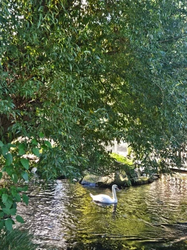 900%EF%BC%BF20260314%EF%BC%BF105706.jpg?type=w386