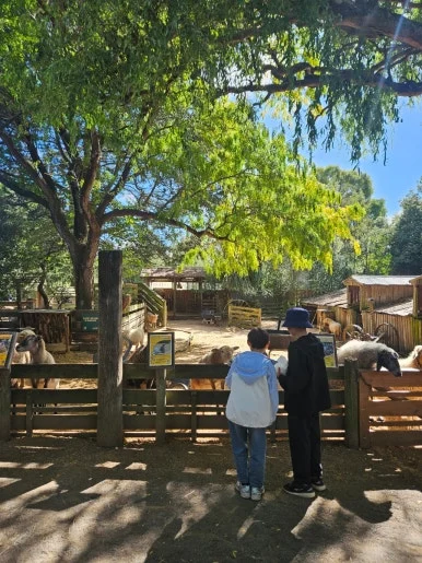 900%EF%BC%BF20260314%EF%BC%BF113243.jpg?type=w386