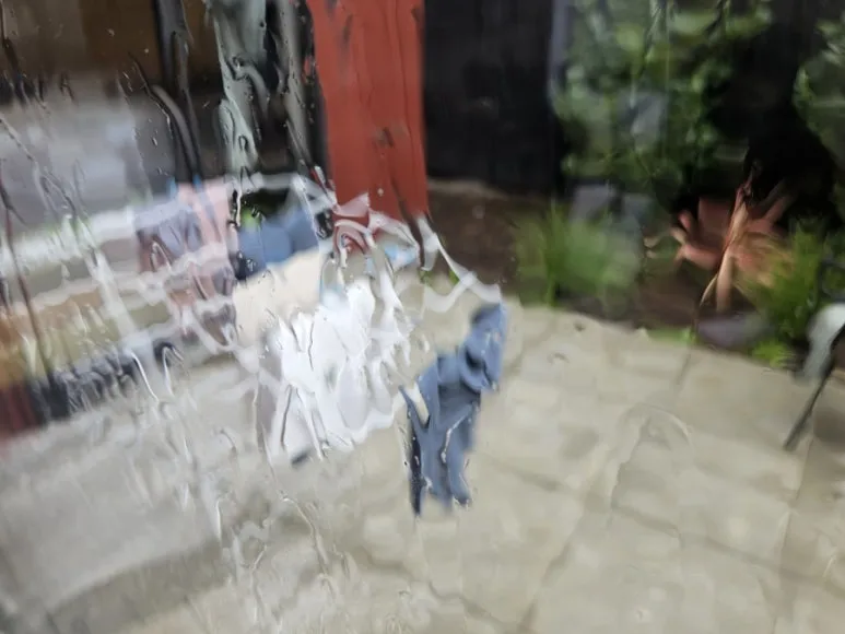 900%EF%BC%BF20260302%EF%BC%BF164707.jpg?type=w773