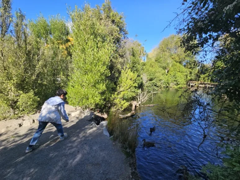 900%EF%BC%BF20260314%EF%BC%BF105757%EF%BC%880%EF%BC%89.jpg?type=w773