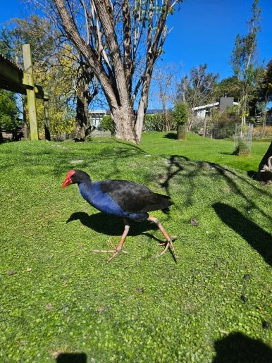 900%EF%BC%BF20260314%EF%BC%BF145647.jpg?type=w386