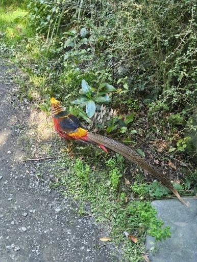 900%EF%BC%BF20260314%EF%BC%BF150224.jpg?type=w386