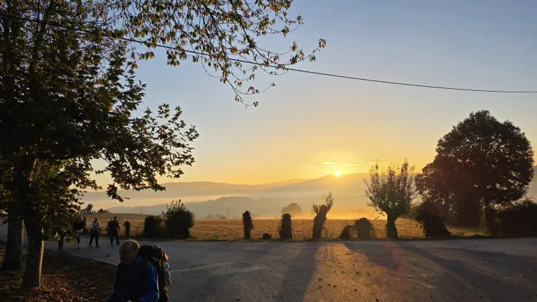 1760717289223.jpg?type=w773