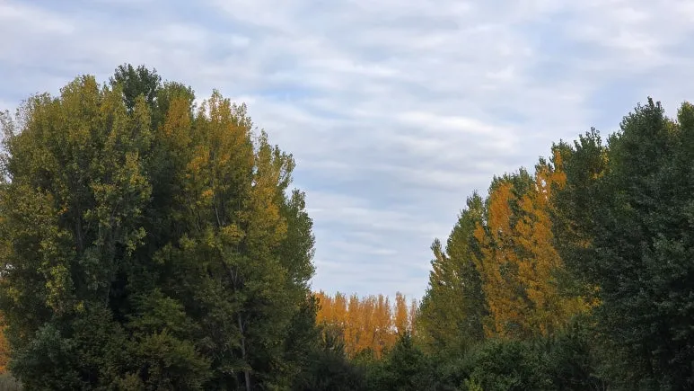 1760469542191.jpg?type=w773