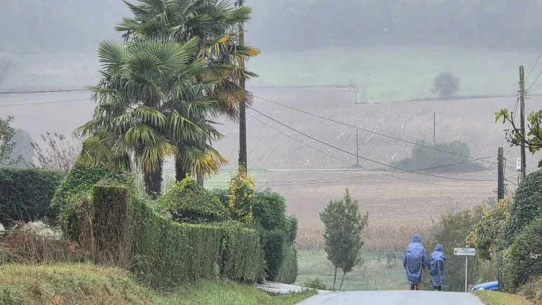 1760901055516.jpg?type=w773