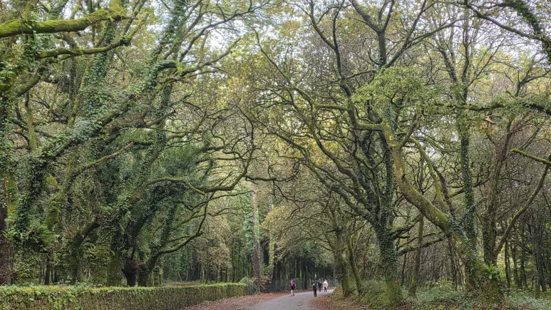 1761064910761.jpg?type=w773