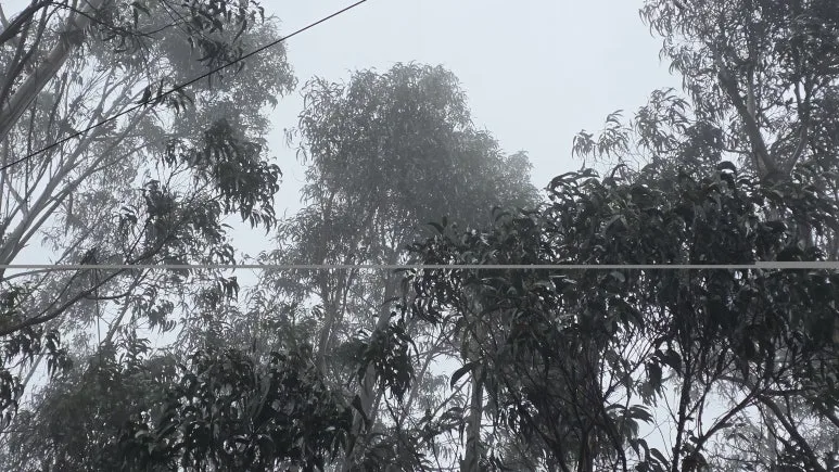 1761064958056.jpg?type=w773