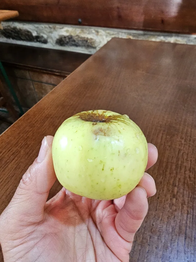 20251017_092657.jpg?type=w773