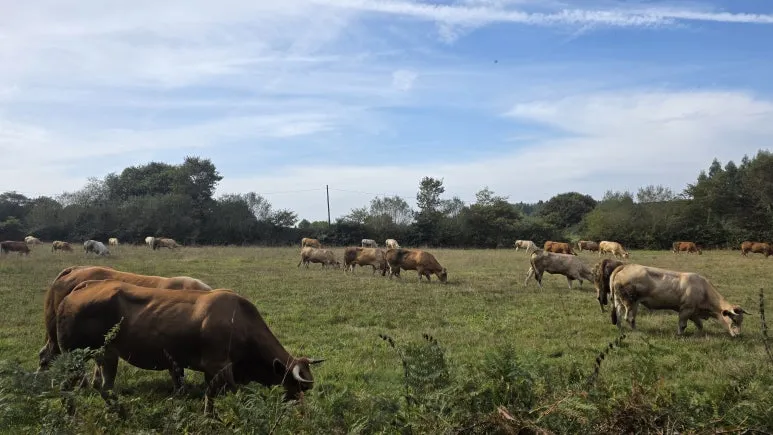 1761638184875.jpg?type=w773